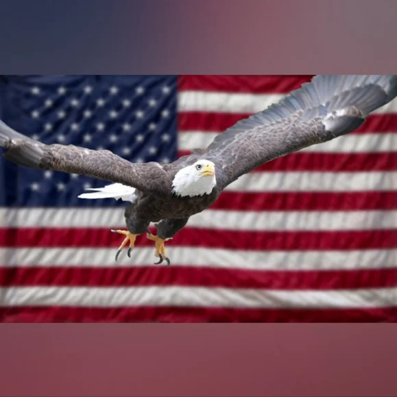 🖤 S ✨️ VS Very Sexy Fishnet Mesh Unlined Strappy Teddy 🖤 - Picture 10 of 13